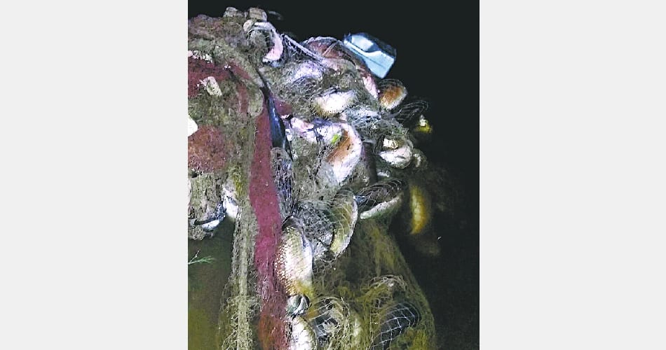 BSF caught 4 quintals of fish in Pakistan boat