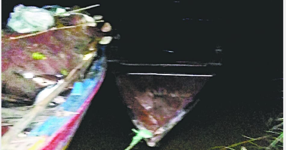 BSF caught 4 quintals of fish in Pakistan boat