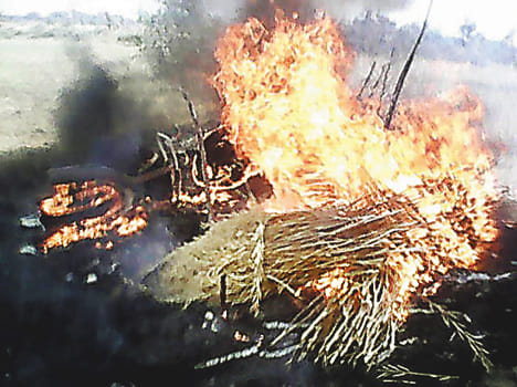 Burning of gram and larvae crop by fire
