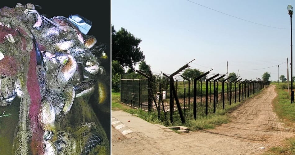 BSF caught 4 quintals of fish in Pakistan boat