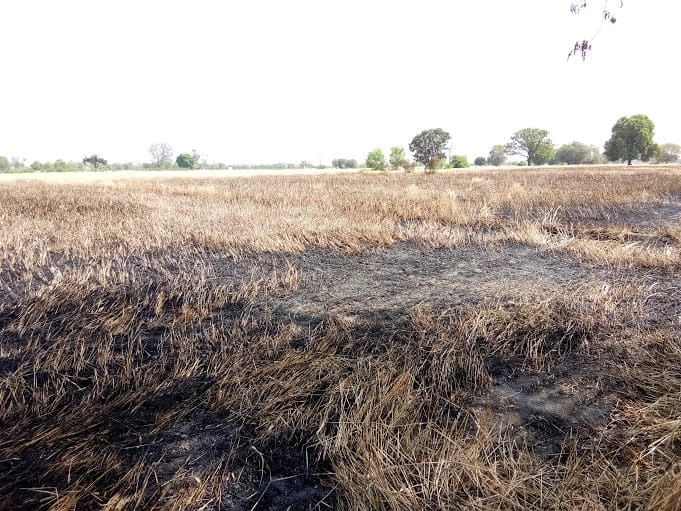 crop burnt due to short circuit in mathura