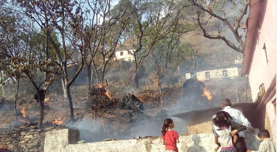 Unrest in a goshala fire, a cow burns alive