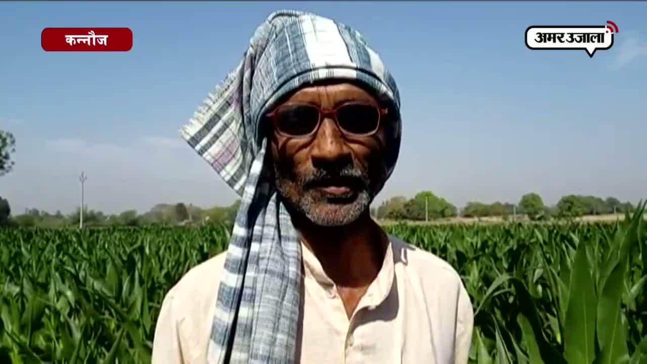 कन्नौज, किसान, सीएम योगी आदित्यनाथ 