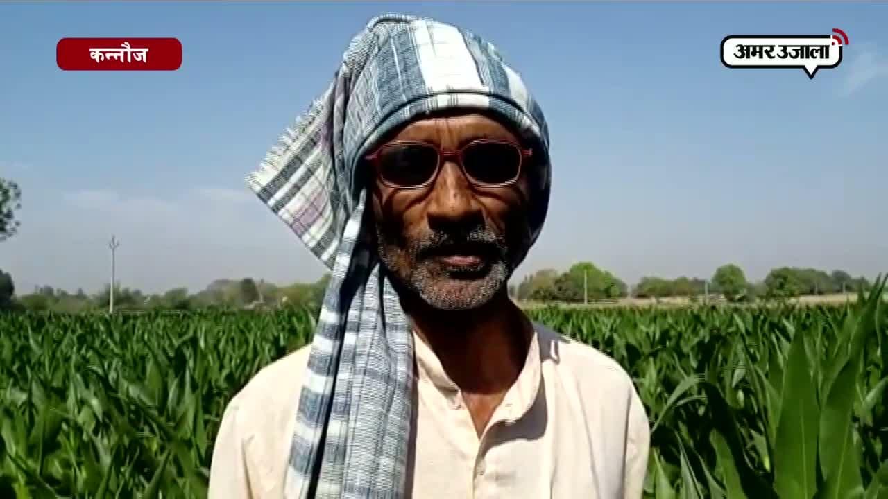 कन्नौज, किसान, सीएम योगी आदित्यनाथ 