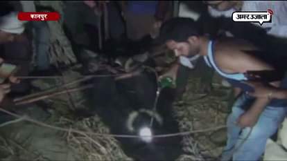 FOREST DEPARTMENT CAPTURED A WILD BEAR IN KANPUR DEHAT