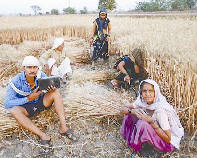 farmer 1