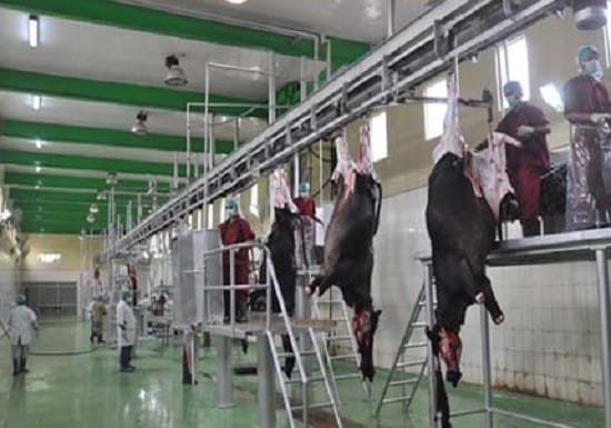 Yogiraj will double the number of slaughterhouses, know how