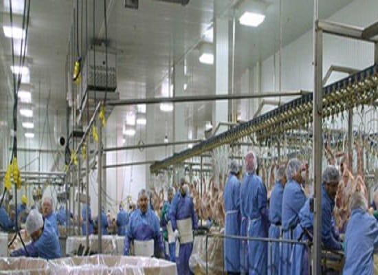 Yogiraj will double the number of slaughterhouses, know how