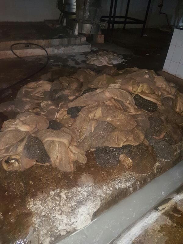 Police seal on meat factory, remains of heavy animals recovered