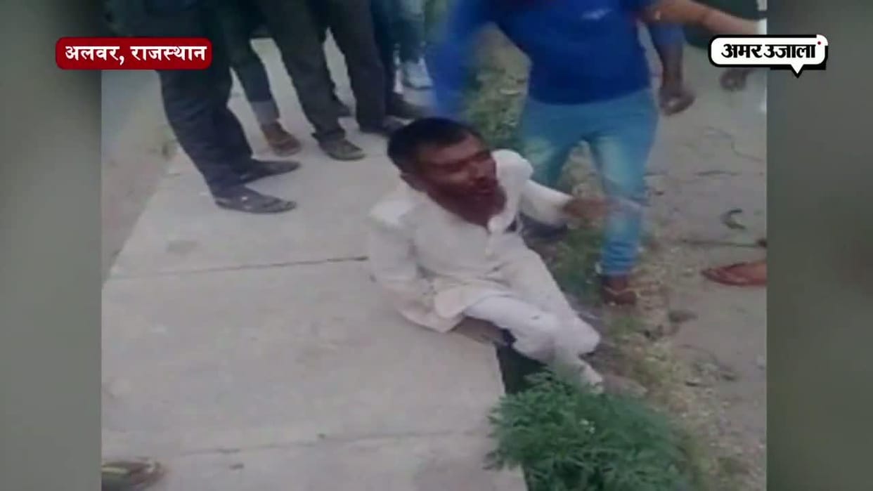 pehlu khan case-mev community will write a letter to pm to declare cow as national animal