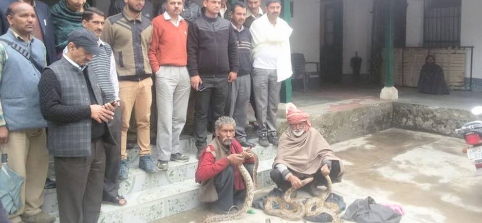 wildlife time arrested two with ajgars