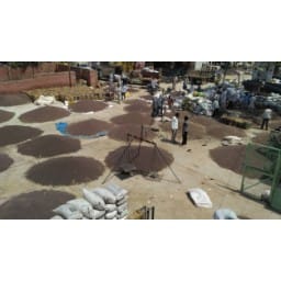 grain, market, agriculture, minister, farmer, 