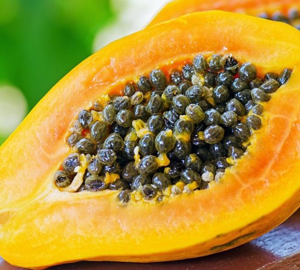 know the amazing health benefits of papaya seeds