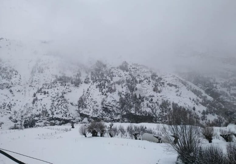 Fresh Snowfall in Himachal Hills, Live Snowfall Photos.