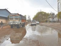 yamuna nagar, ran,fasal,nuksan