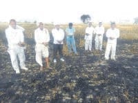 burn 26 acore wheat crop, karnal