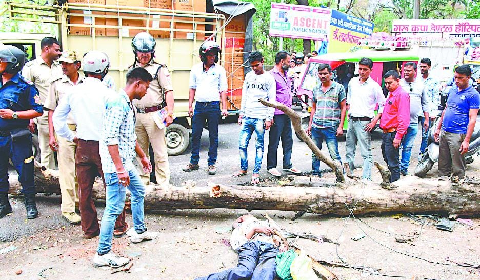 Death of laborer, car damaged by tree fall