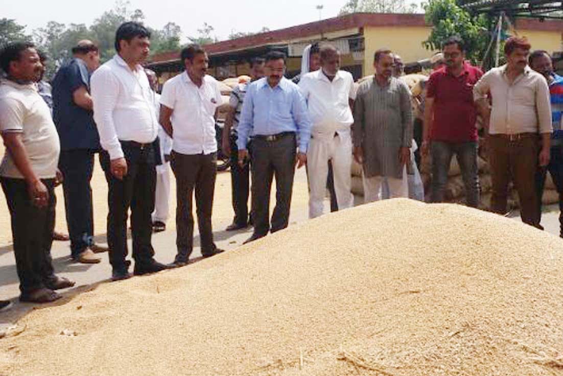 Deputy Director got a wheat procurement center