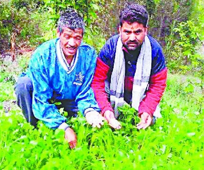 Rainy season with rain, snow on peaks