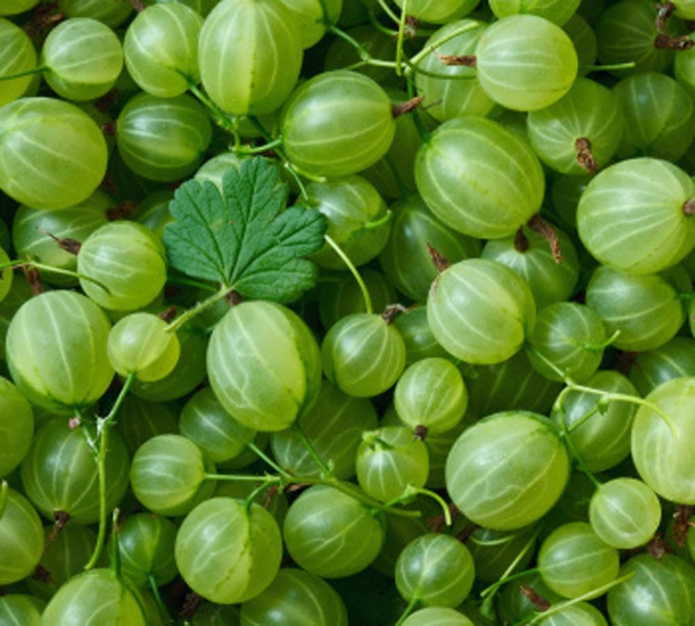 these tips can reduce inflammation in urine