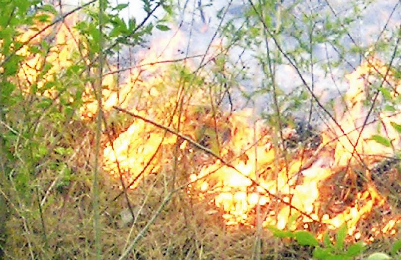 Complete all preparations to stop forest fire