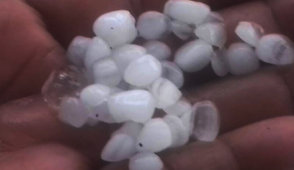 hailing and raining in kanpur 