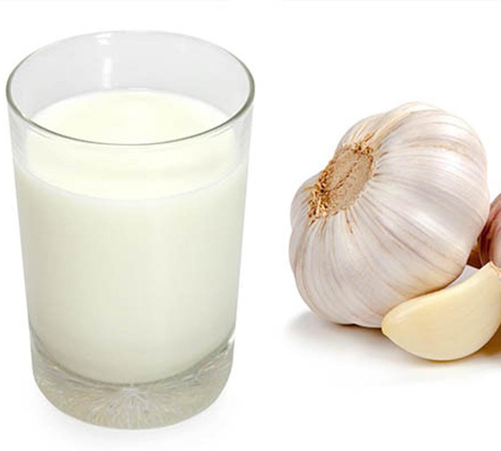 garlic in milk is beneficial for health