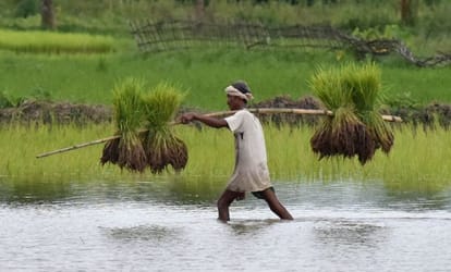 Modi government is in Surrounded debt waiver of farmers in UP