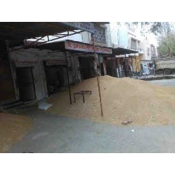 1500, qiuntal, wheat, mandi, not, selling, farmer