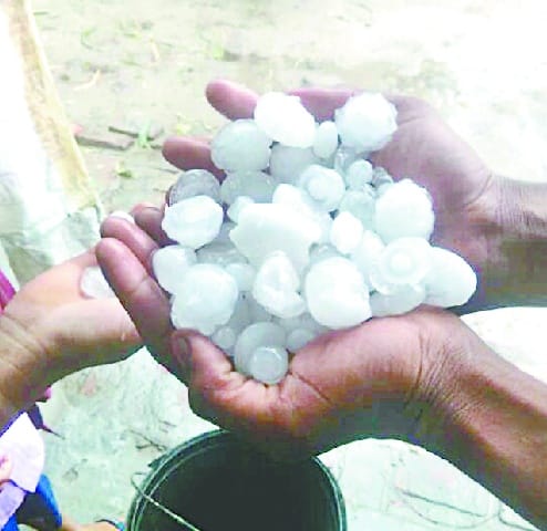 Hail of farmers' hopes