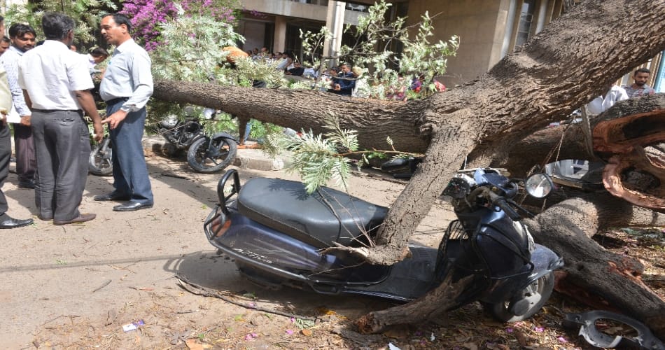 Thunderstorm in chandigarh