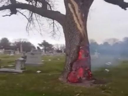 indonesia where dead babies are buried inside trunk