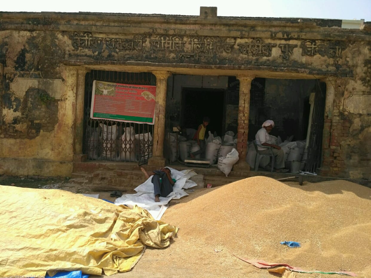 Sanaata at the Center of Purchase, Purchase in the Farm