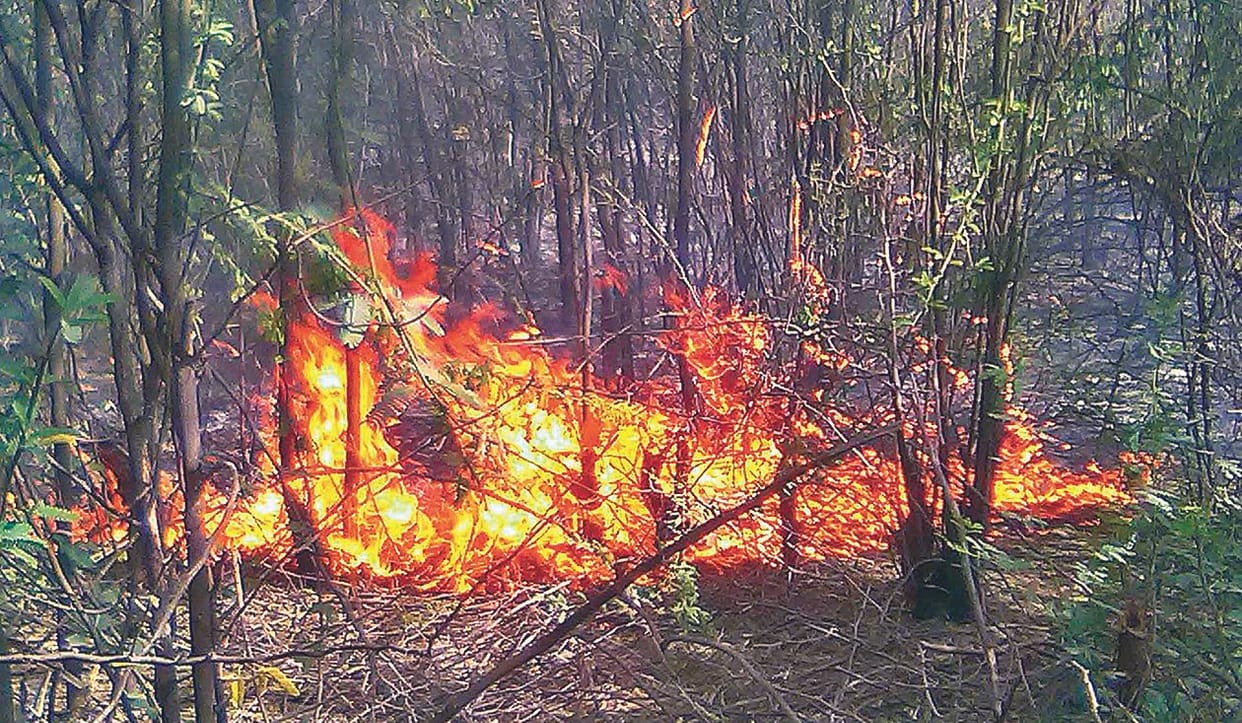 fire in kheetham