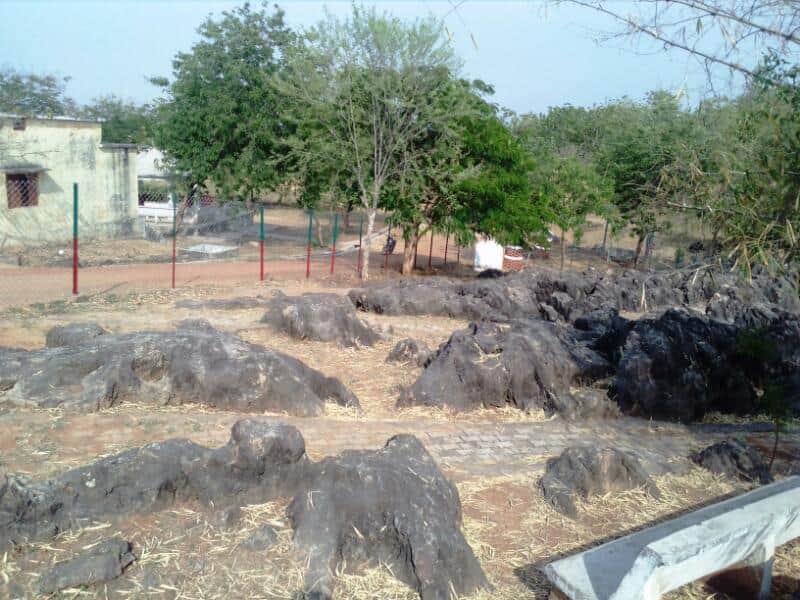 Sonebhadra Salkhan Fossils Park is one of the oldest fossils park of the world
