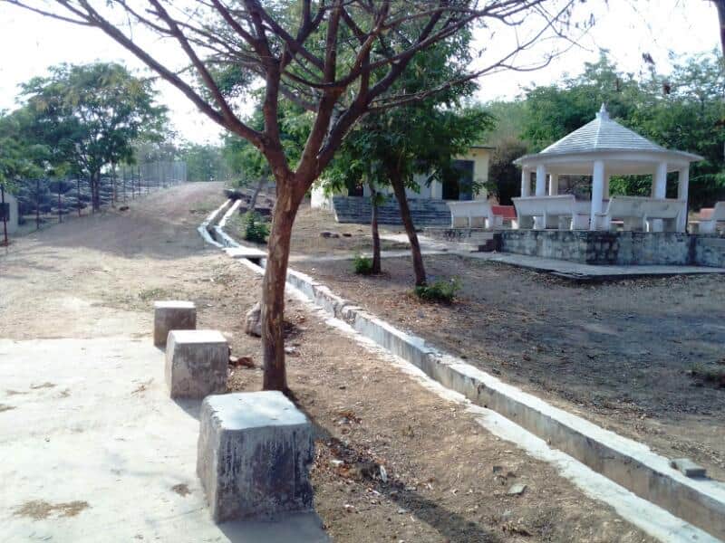 Sonebhadra Salkhan Fossils Park is one of the oldest fossils park of the world