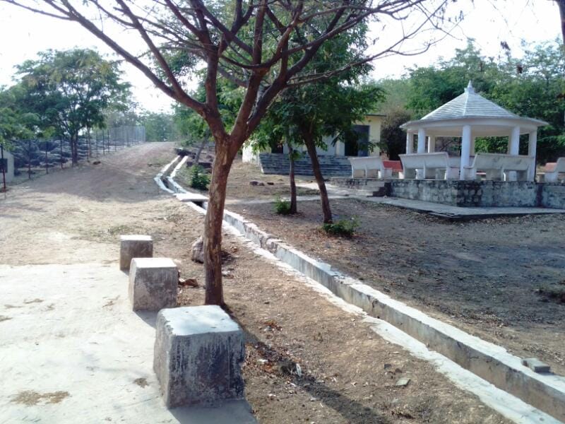 Sonebhadra Salkhan Fossils Park is one of the oldest fossils park of the world