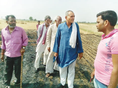 Four bigha crops burnt by fire