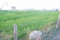 Panchayat, preparation, bidding, landmedical college, building, jind