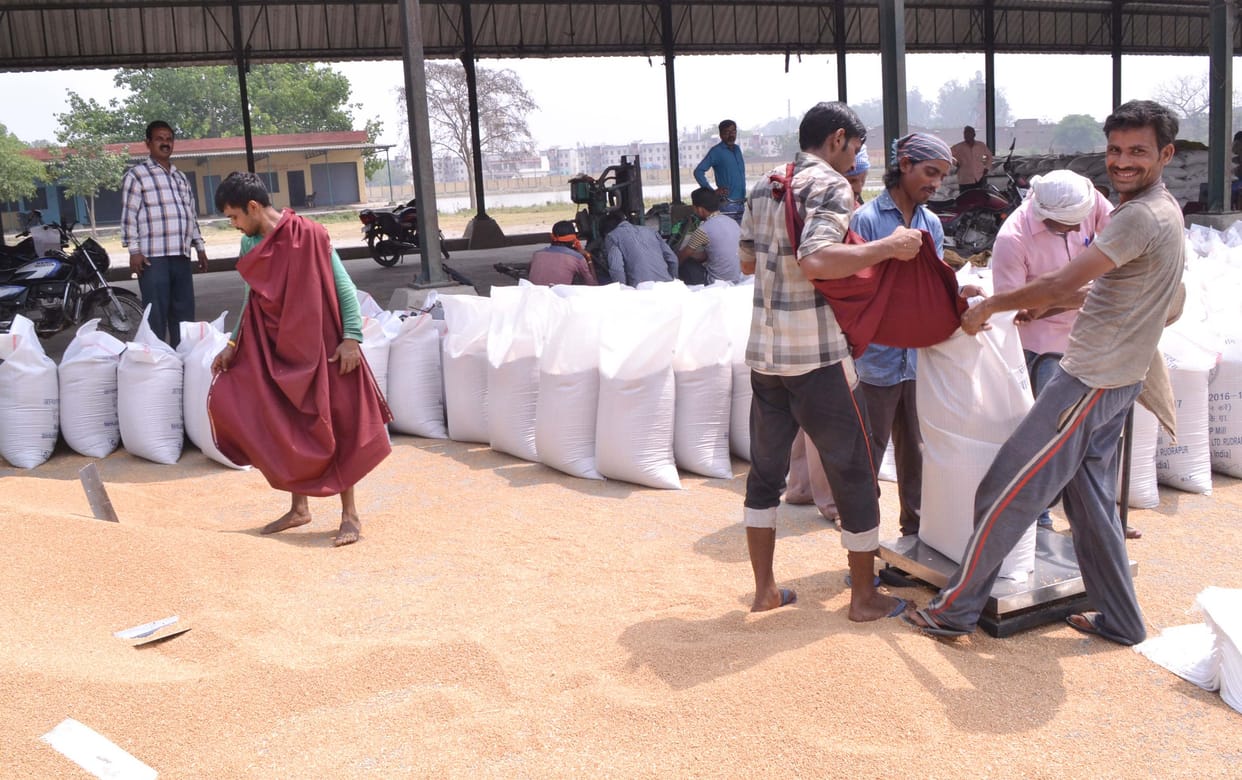 So far, wheat procurement in Pilibhit division