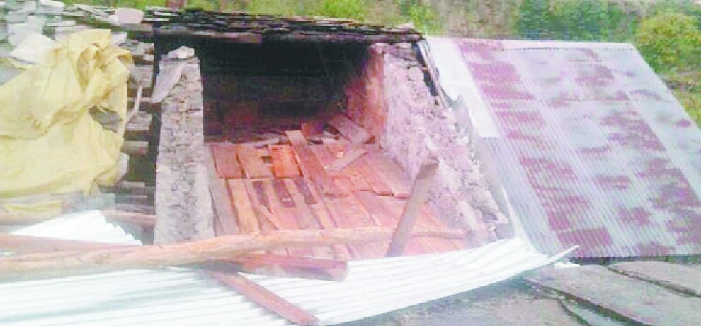 Rs 5 crore damages to apple crops in Himachal Pradesh