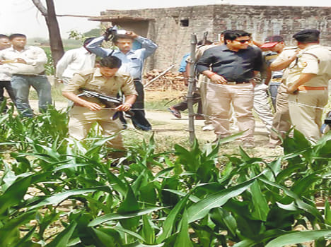 Wild animal panic after teenage death