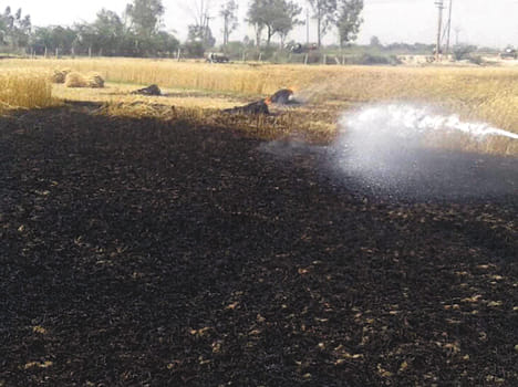 Household and wheat crop by fire