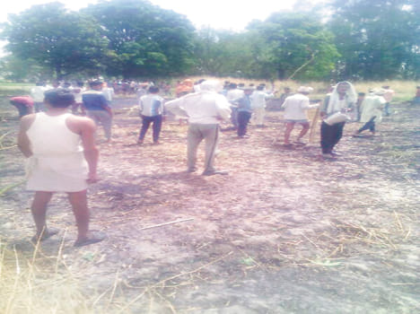 Four bigha crops burnt by the hightension line