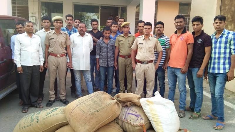 107 kg of Doda seized
