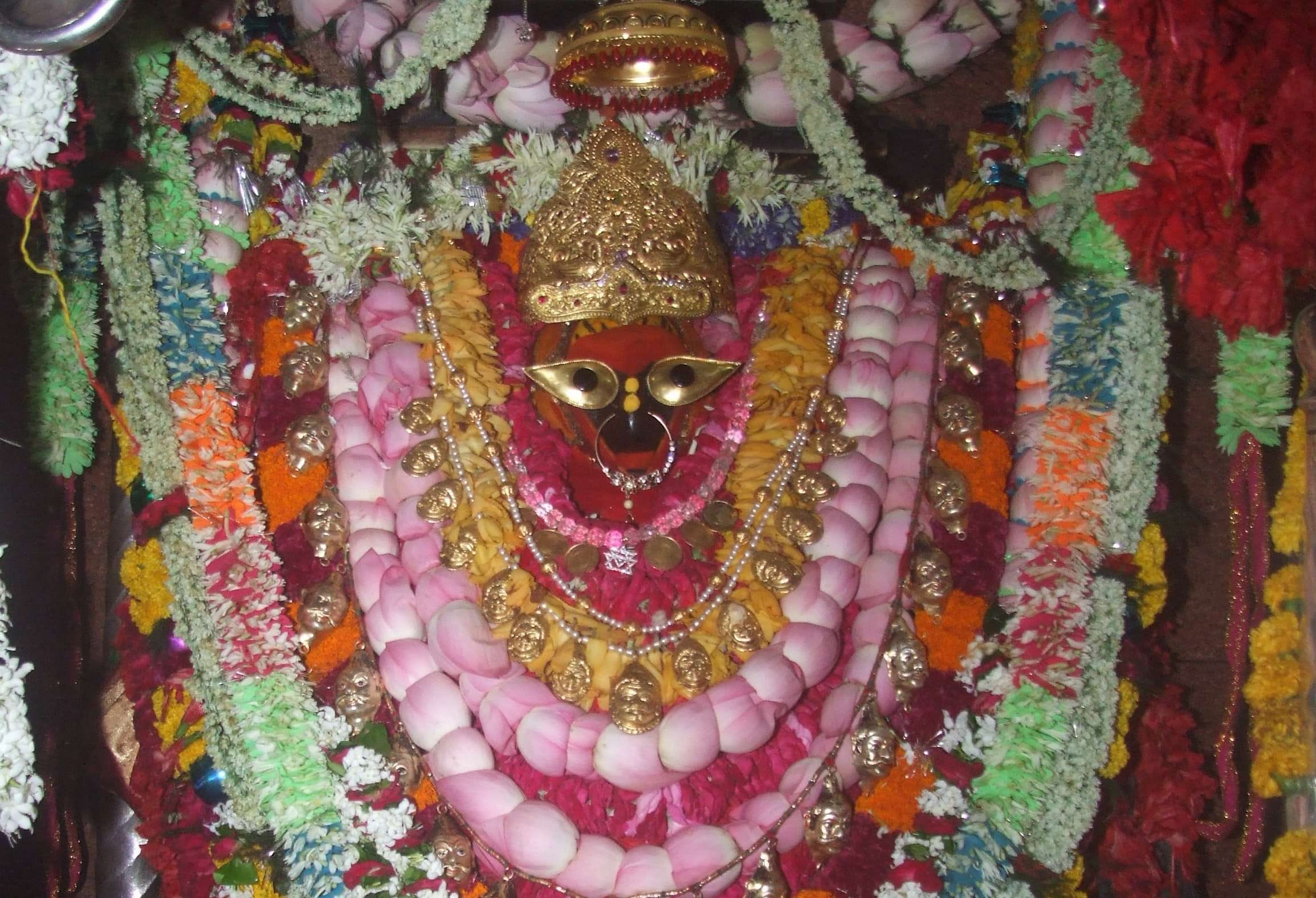 Jaya Ekadashi 2020 dos and donts