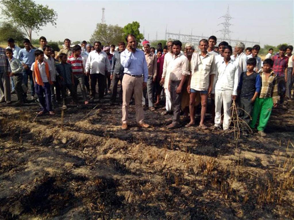 100 farmers of ash crop of 12 farmers from the fire