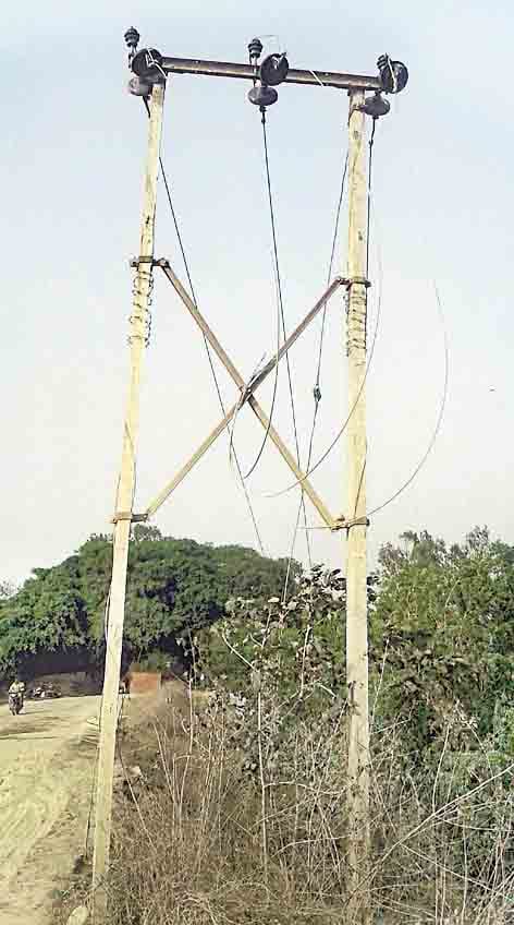 jauhar university