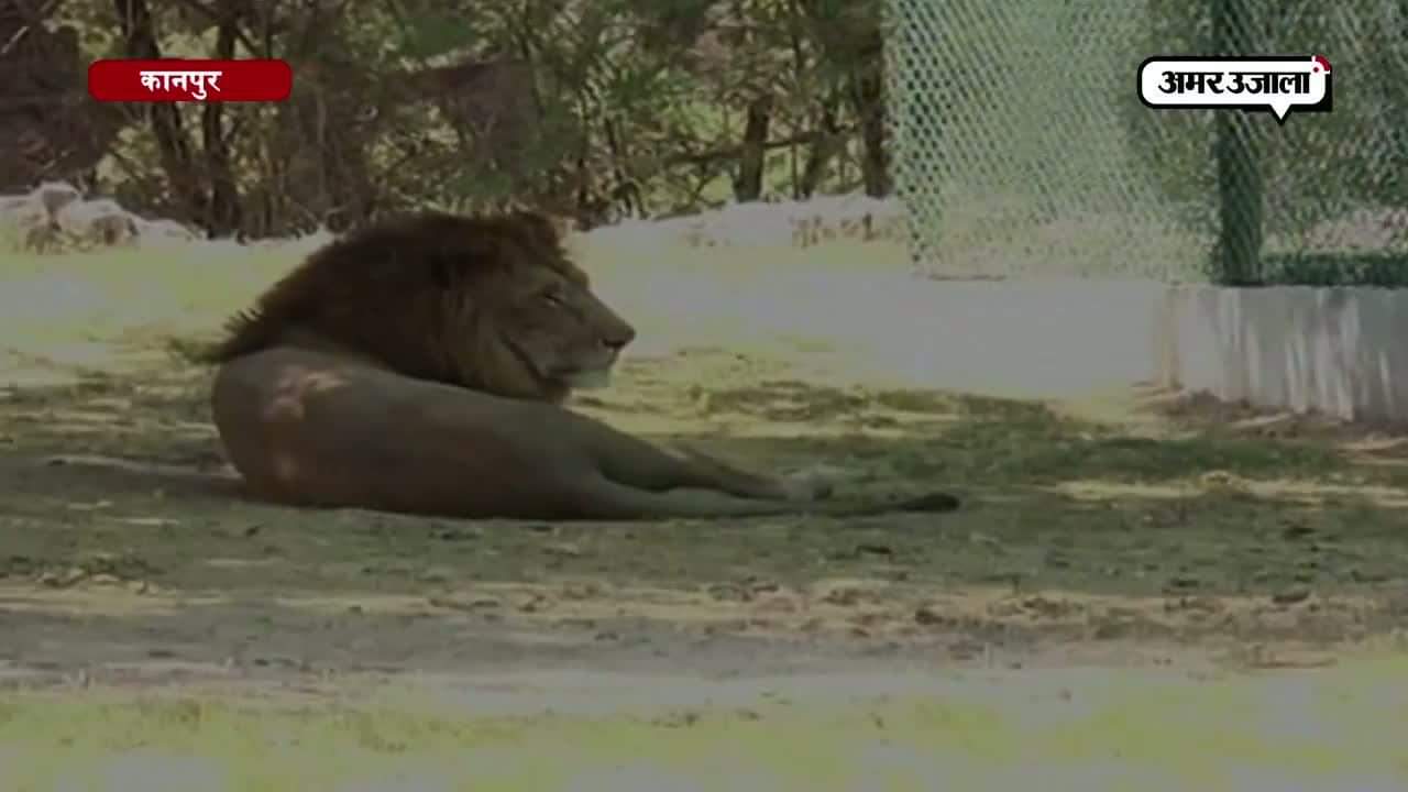 कानपुर चिड़ियाघर