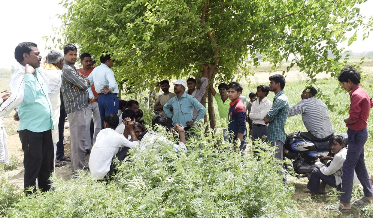 Encroachment on government land, demolished occupants